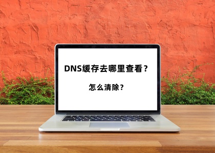 dns缓存