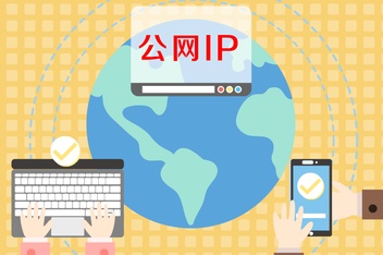 公网IP