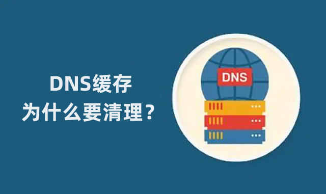 dns缓存