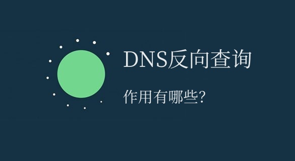 DNS反向查询