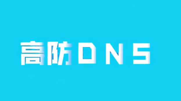 高防DNS