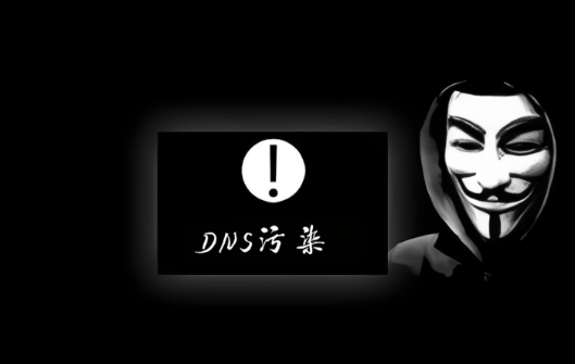 DNS污染