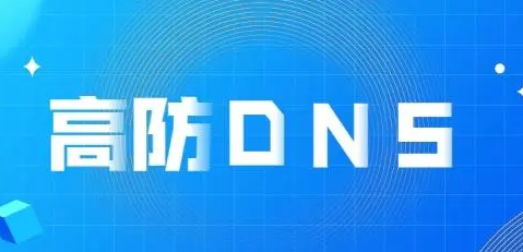 高防DNS