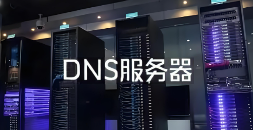 DNS服务器