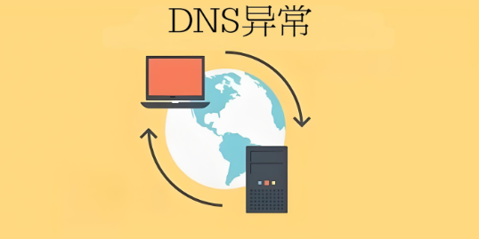 DNS异常